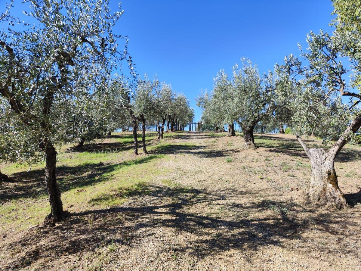Agriturismo Sommassa Greve in Chianti Extérieur photo